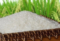 Lúa gạo Việt Nam rạng danh toàn thế giới