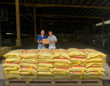 Ngành hàng lúa gạo là điểm sáng trong nông nghiệp