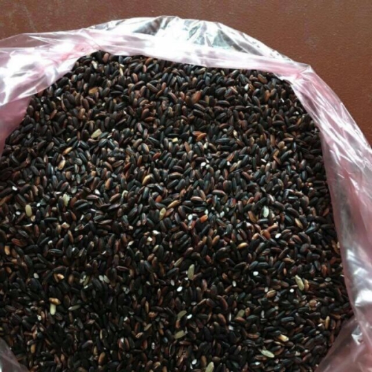 Gạo Nếp Cẩm
