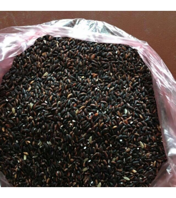 Gạo Nếp Cẩm
